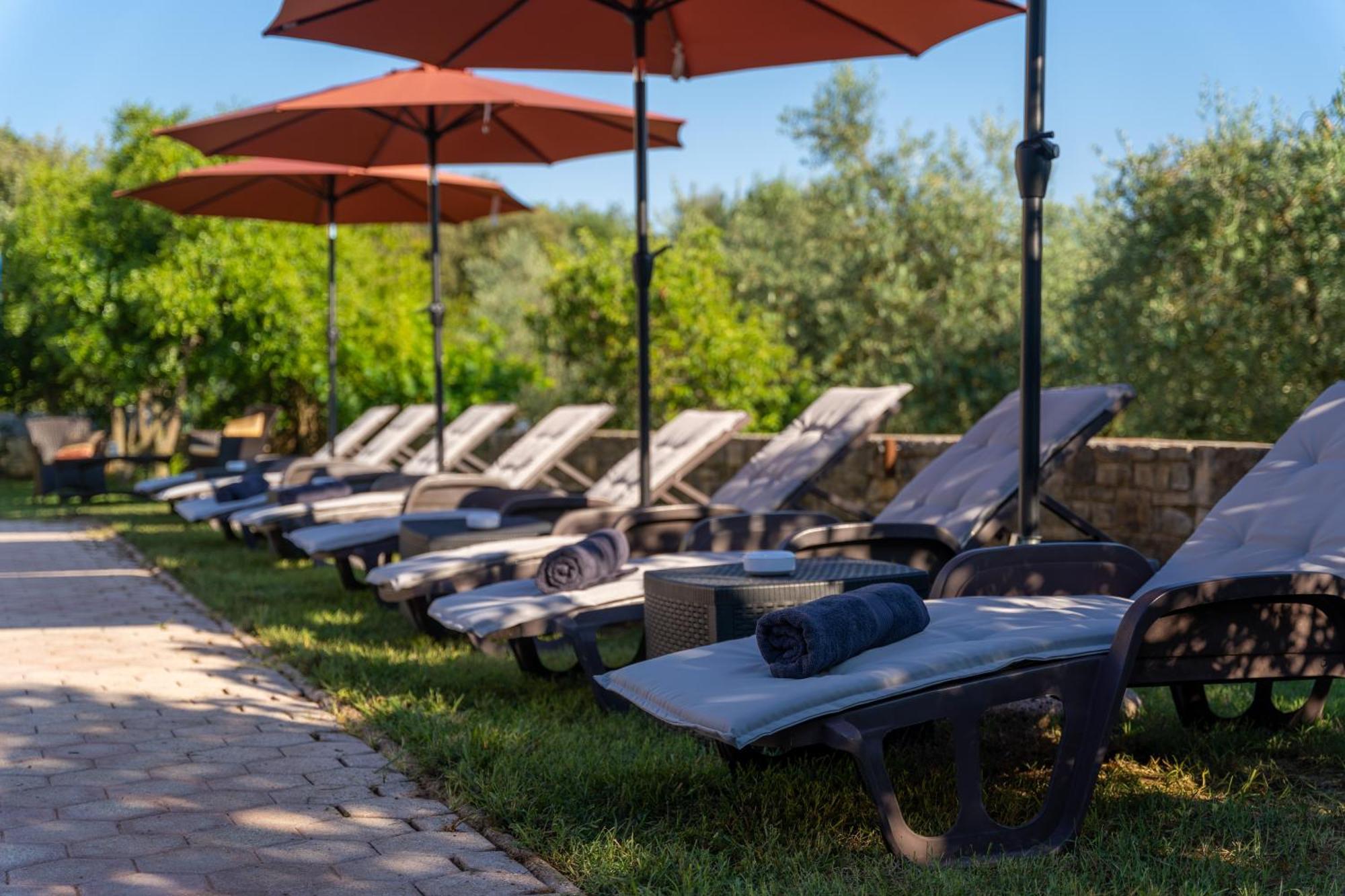 Guesthouse "Barboska" - Big Outdoor Swimming Pool & Private Tennis Court Воднян Екстериор снимка